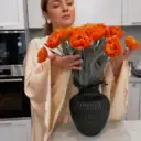 kriv_e_lena