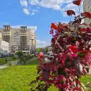 УК Полёт Ногинск