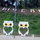 МУП «Сычевское управление ЖКХ»