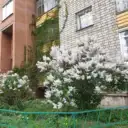 ТСЖ ЗЕНИТ — инфо канал