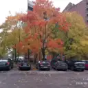 ООО «СПЕЦСТРОЙ ПОМОЩЬ»