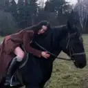 VEIGEL