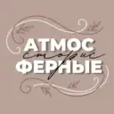 АТМОСФЕРНЫЕ СТОРИС