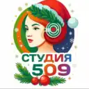Студенческий телеканал РГЭУ (РИНХ) «Студия 509»